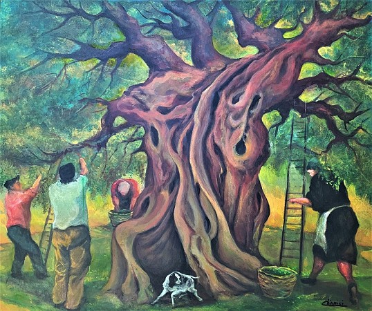 The Old Olive Tree - Harvest 1942'