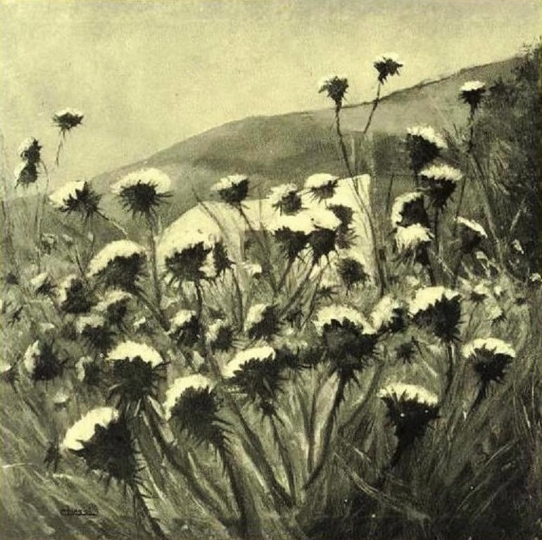 The Thistles
