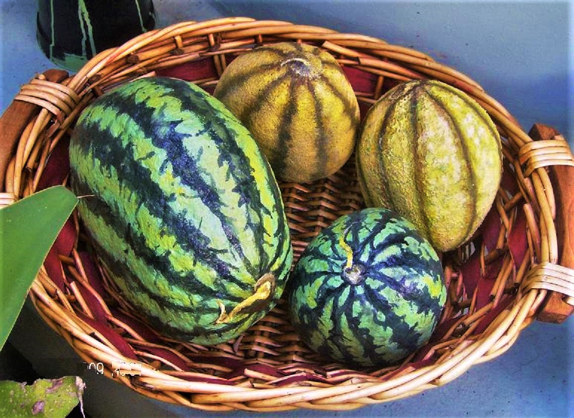 Melons